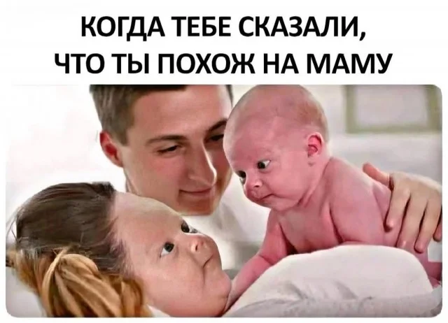 Немного картинок