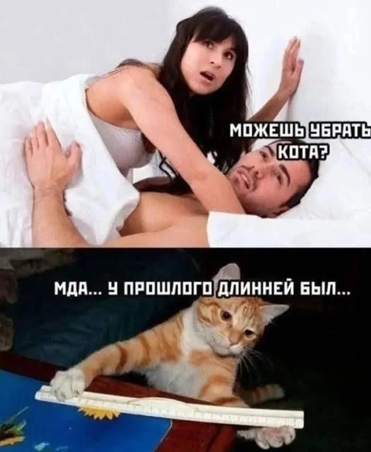 Разнообразные баяны