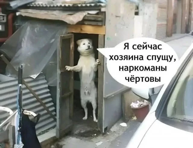 Разнообразные баяны