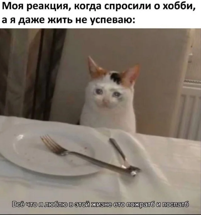 Поднимаем настроение