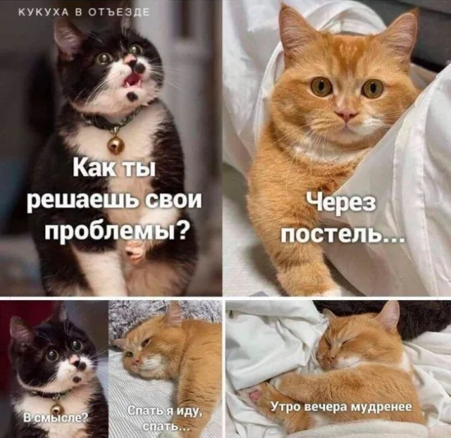 Во! Приколы!