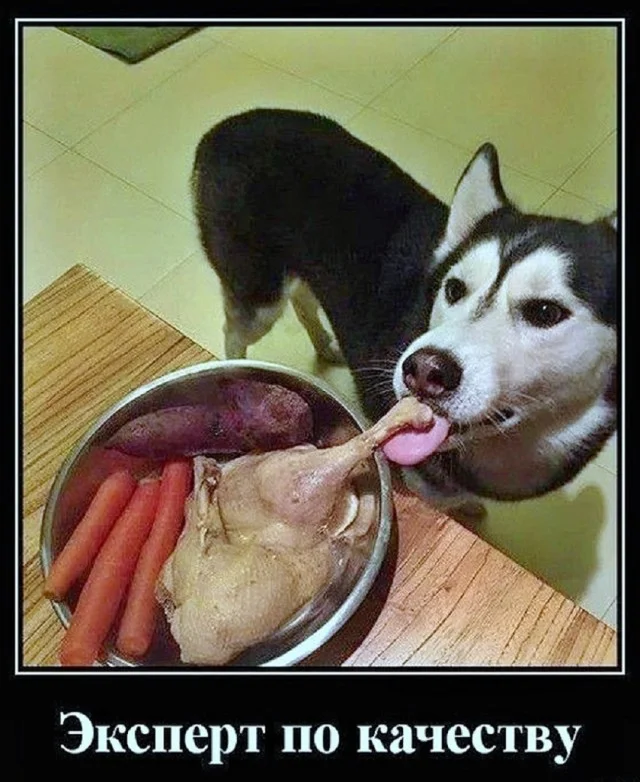 Смешно и по кайфу!