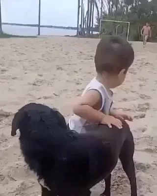 Первые шаги при поддержке лучшего друга