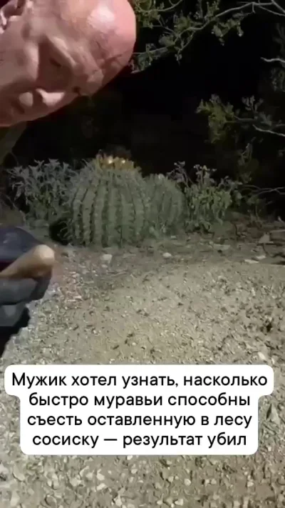 Часть команды, часть корабля)