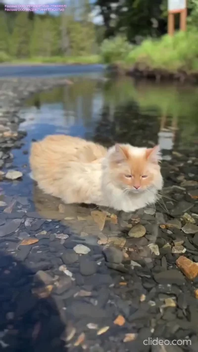 Режим охлаждения