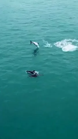 Живет своей лучшей жизнью!