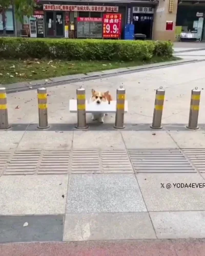 Ну разве не умочка?