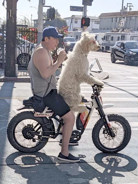 Разнообразная ФотоВсячина