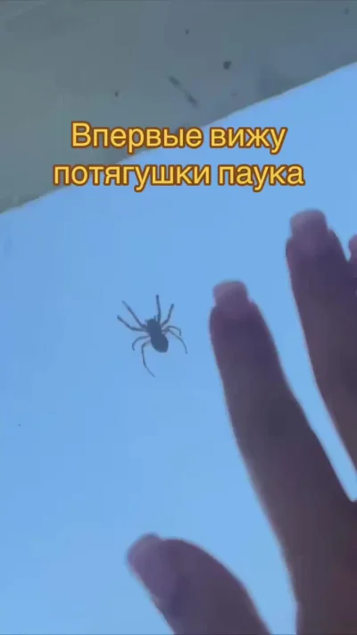Каналы гидравлики и суставы растягивает