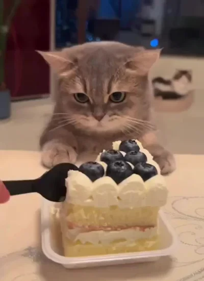 И мне кусочек