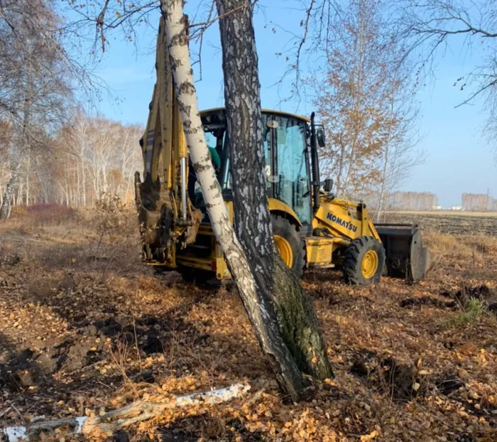 Тот самый лес, где Тамара и Евгений закопали тело Федора