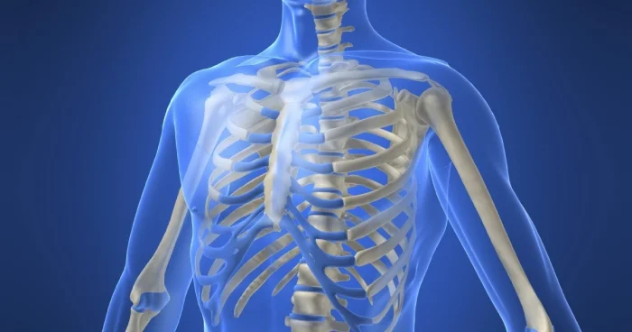 Настоящие Люди Икс: семеро с поразительными способностями в реальной жизни