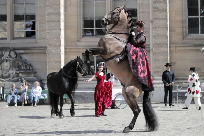 Подборка картинок на общую тему