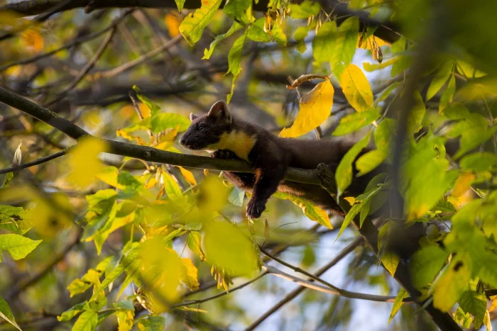 Свежее на общую тему