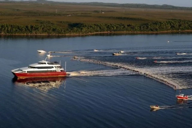 Неплохо намешалось