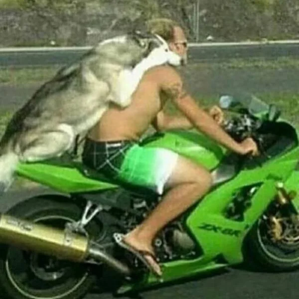 Неплохо намешалось