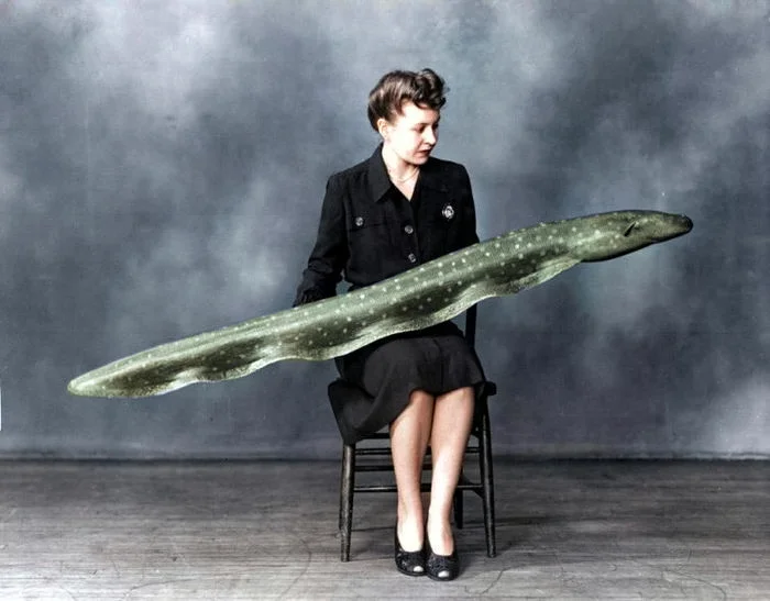 20 редких цветных фото ХХ века, показывающих необычную Америку