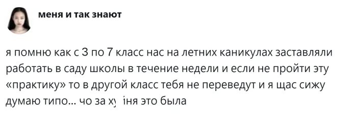 Летняя школьная практика: ценная школа жизни или пустая трата времени?