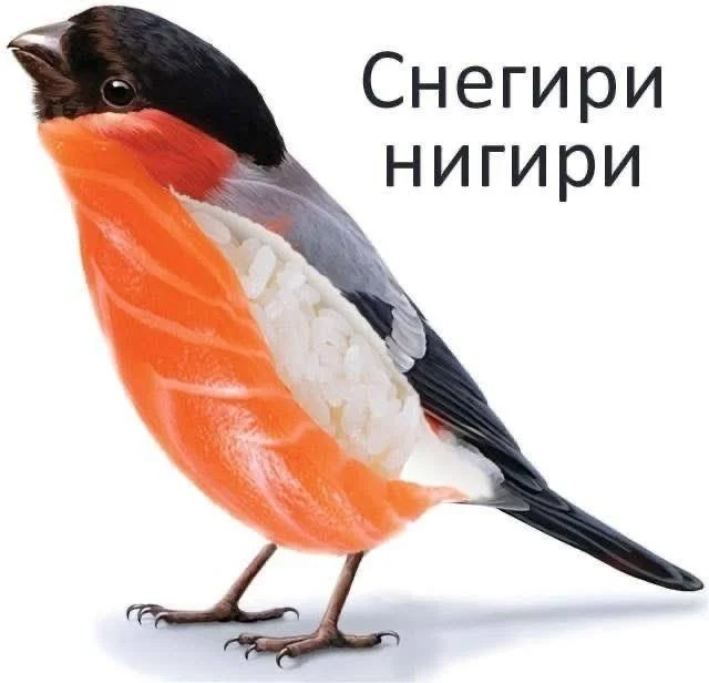 Смешные скрины из соцсетей #73