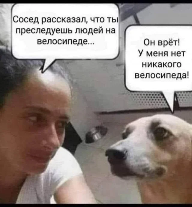 Смешные скрины из соцсетей #73