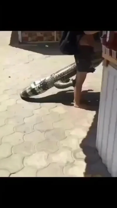 Брюхо набивает