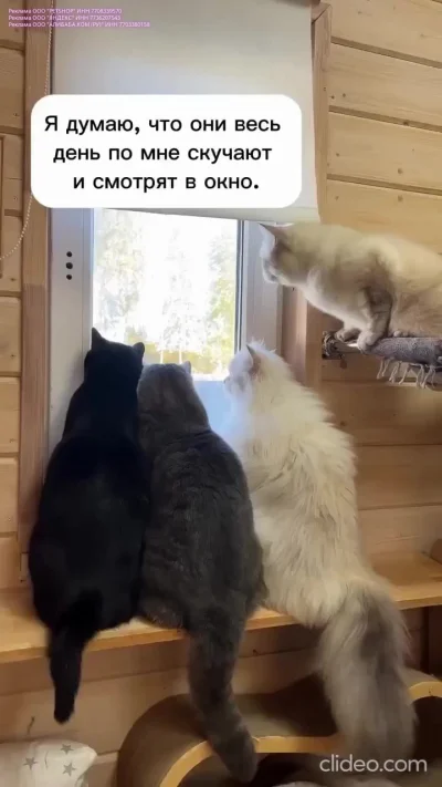 Ага, скучают