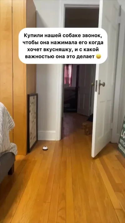 Наташа, мне долго ждать?
