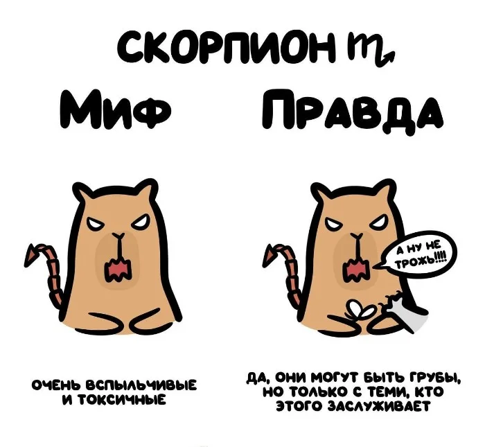 Знай разницу — прикольные картинки, сравнения и различия | #100