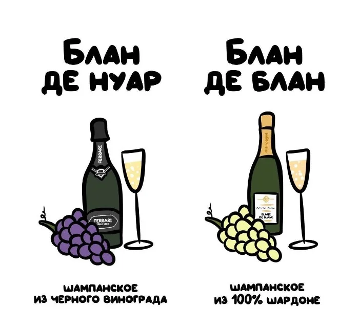 Знай разницу — прикольные картинки, сравнения и различия | #102