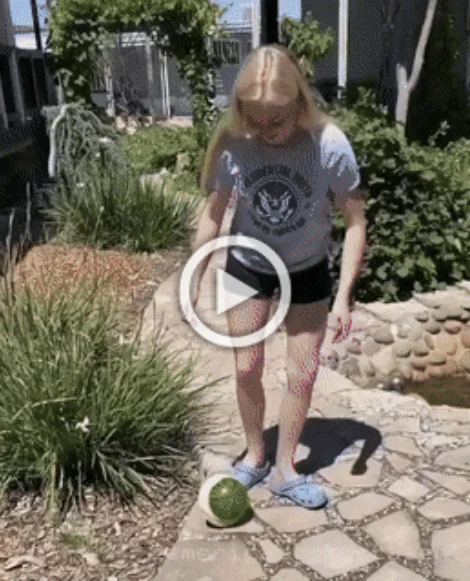 Разнообразные ГИФки #140