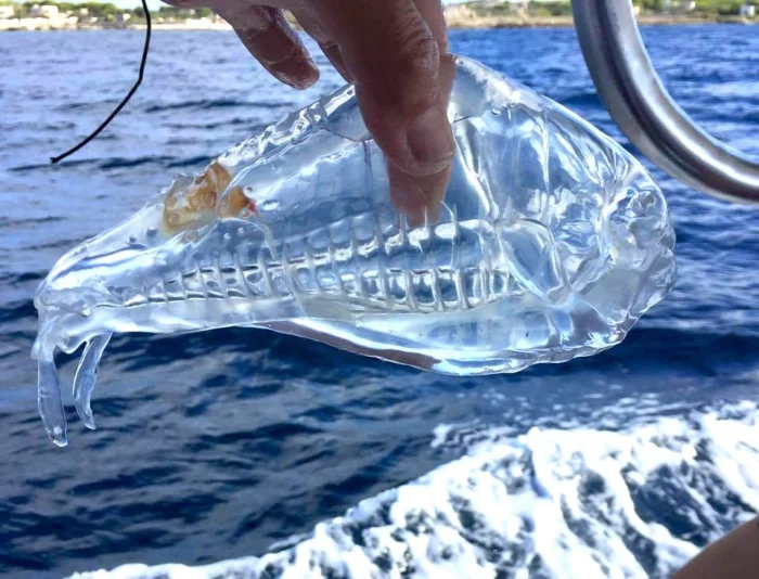 12 удивительных фото, доказывающих, что мир полон чудес