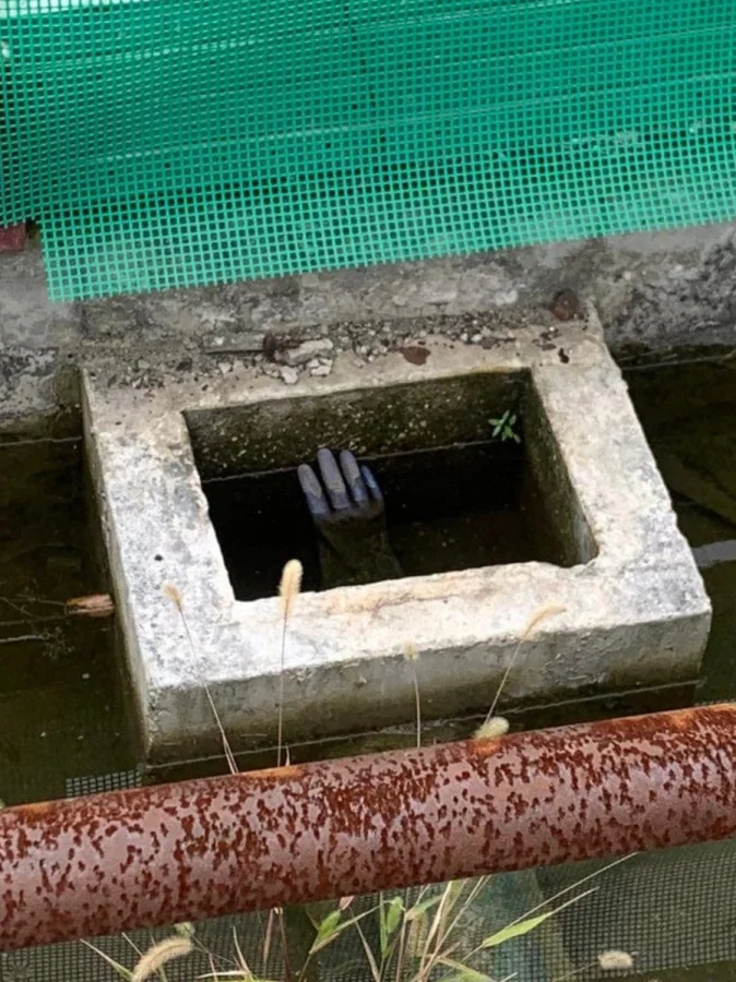 Подборка из 17 снимков, способных лишить дара речи