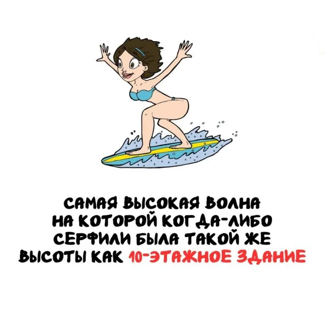 Подборка любопытных фактов на любой случай