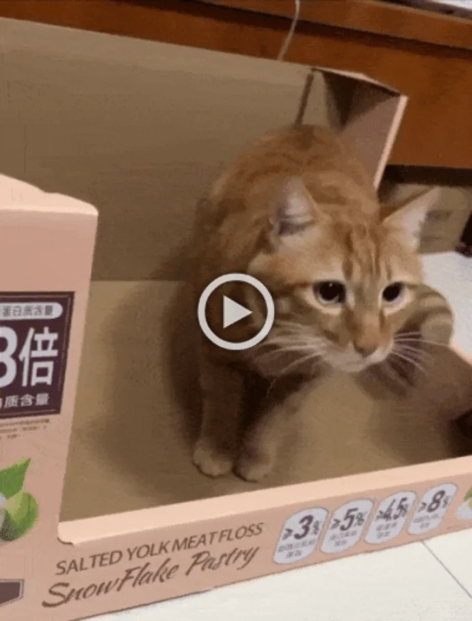 Разнообразные ГИФки #151