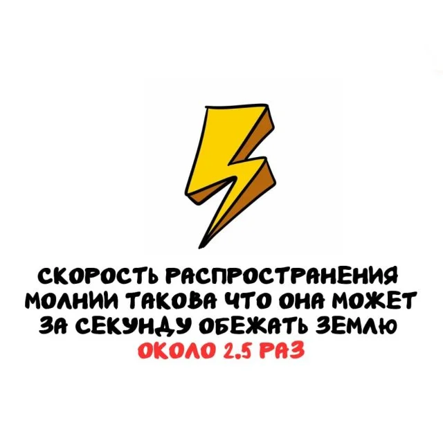 Удивительные факты, которые пригодятся каждому