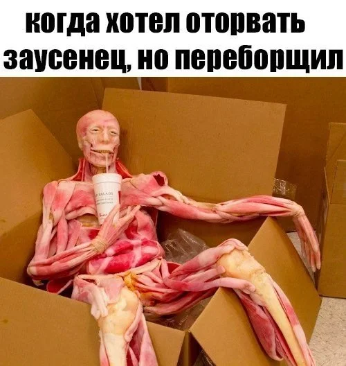 Чернявая дичь