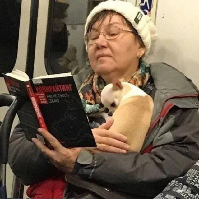 Приколы подъехали