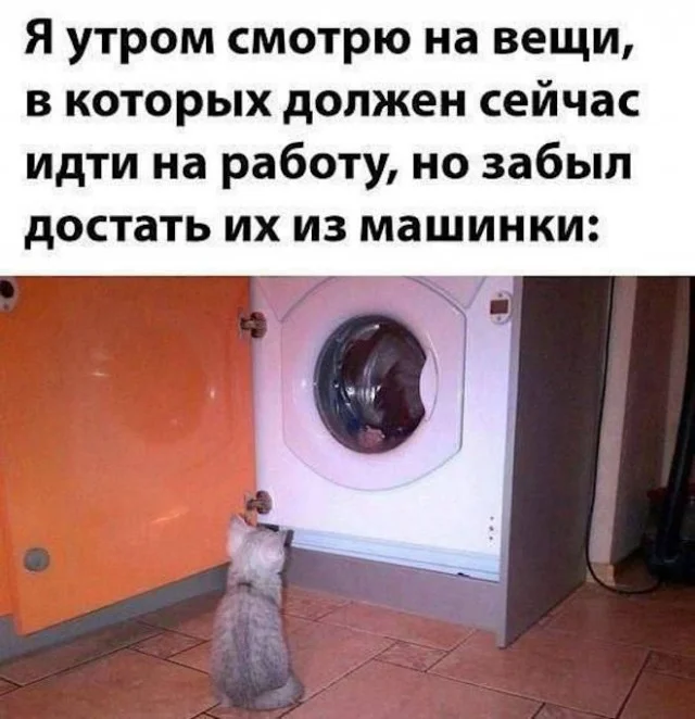 Котобаяны