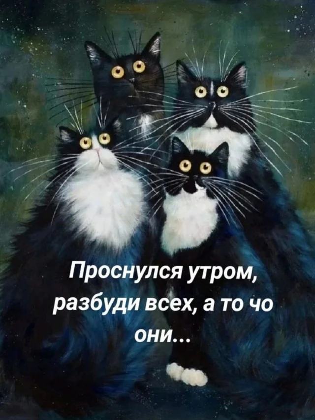 Котобаяны