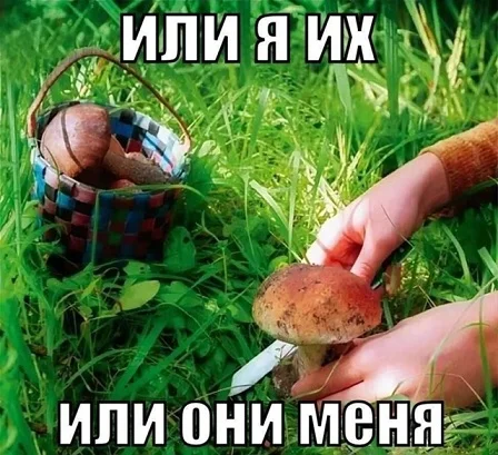 Картинки для настроения!