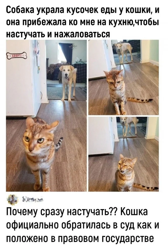 Вау! Свежие картинки!