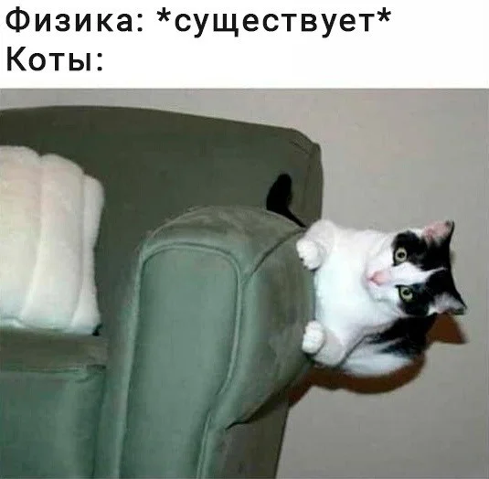 Баяны про котов