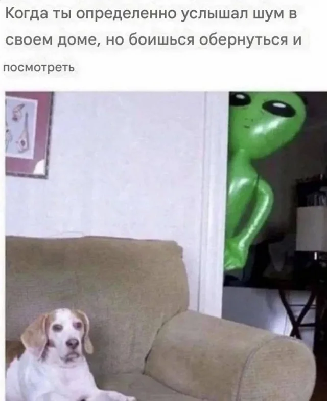 Нереально весело!