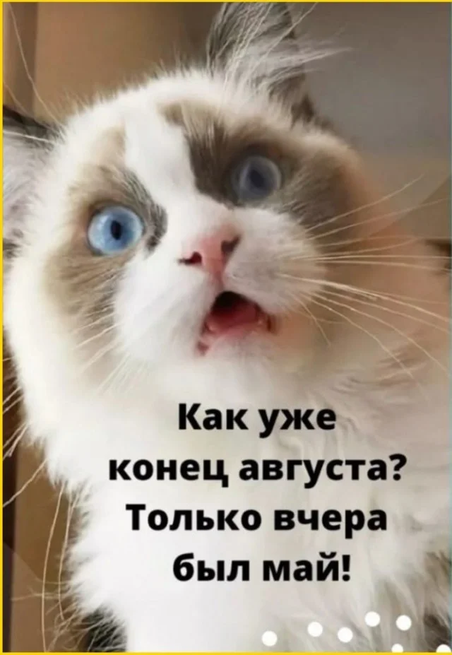 Кайф! Картинки!