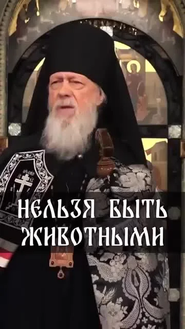 еп. Августин (Анисимов): Нельзя быть животными