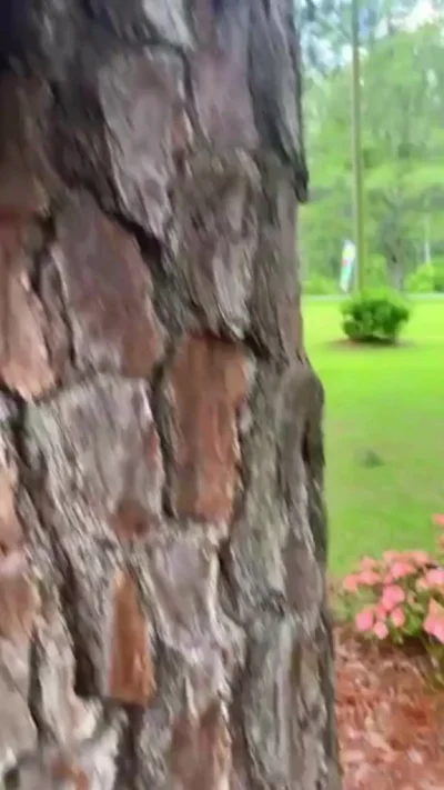 Ну допустим чирик - мля...