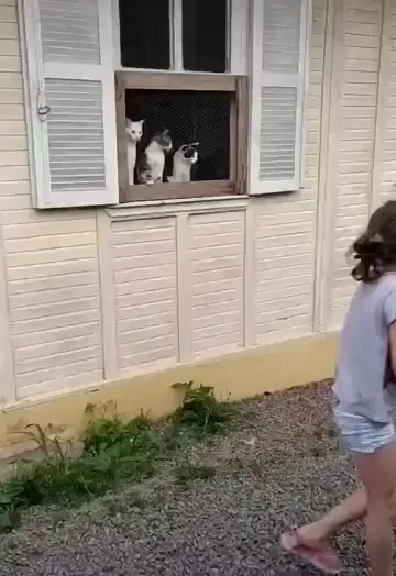 Группа поддержки)