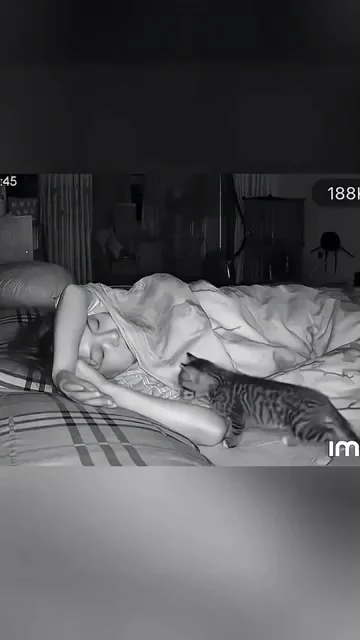 Кошки спят с людьми