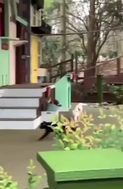 Дубликатор