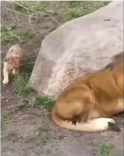 Бу! Да не пугайся ты так, пап...